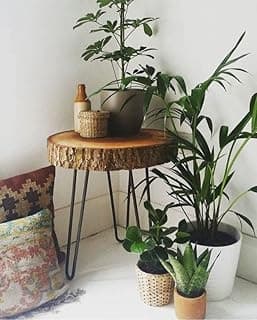 Sheesham Wood Small End Table/Side Table/Plant Stand/Round Stool with Hairpin Legs for Home Decor (Wood Natural)