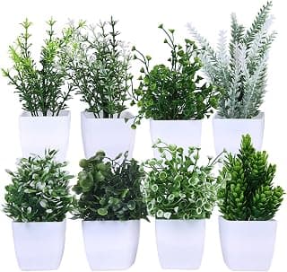 amazon basics Artificial Plants with Pot| Multi Variety | Durable Plastic | No Maintenance | Home Decor | Dimensions: 5 cm X 13 cm (Pack of 8)